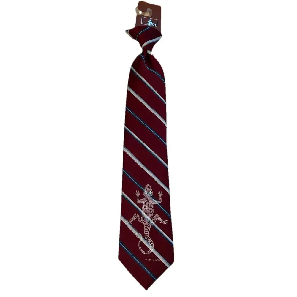 NEW KETCH Boy's Lizard Clip-on Tie Sz Large Stone Embellished Novelty Red Stripe